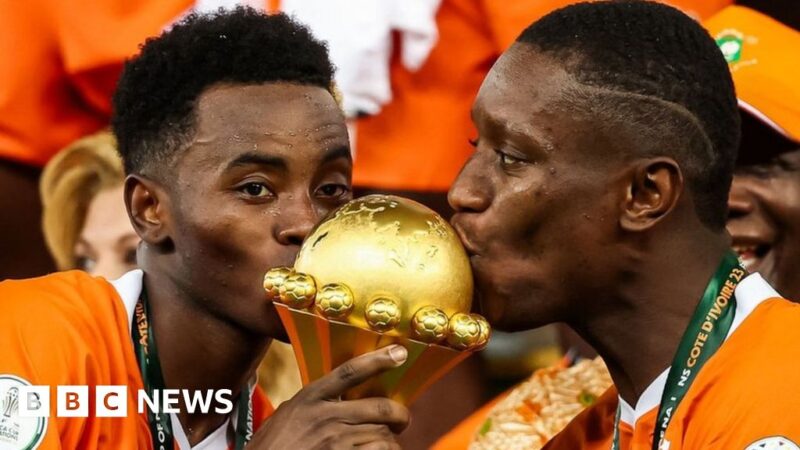 Afcon: Ivory Coast and Nigeria players get cash, villas and honours