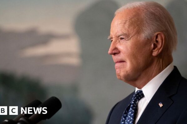Democrats rally around Biden as report raises age concerns