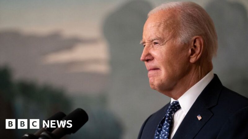 Democrats rally around Biden as report raises age concerns