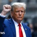 Donald Trump's immunity appeal failed, but delaying may be the goal