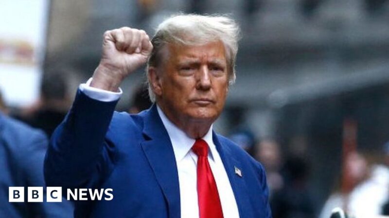 Donald Trump's immunity appeal failed, but delaying may be the goal