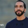 El Salvador's President Bukele claims election victory