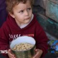 Gaza residents surviving off animal feed and rice as food dwindles