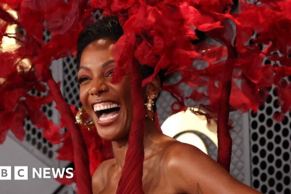 Grammy Awards 2024: Red carpet and ceremony in pictures