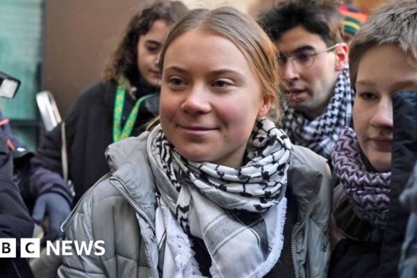 Greta Thunberg outside court: We must remember who real enemy is
