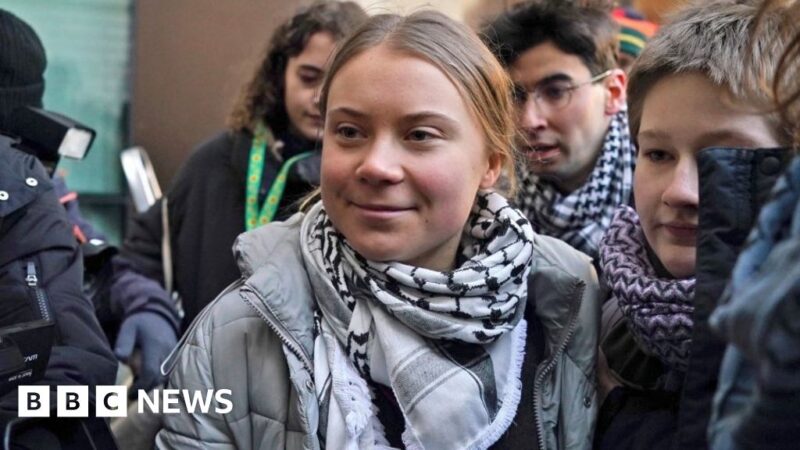 Greta Thunberg outside court: We must remember who real enemy is