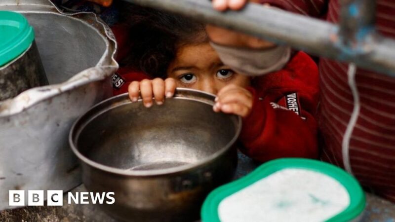 Israel Gaza: Netanyahu vows to press ahead with Rafah offensive