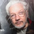 Julian Assange: Australian politicians call for release of WikiLeaks founder