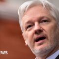 Julian Assange: Wikileaks founder in last-ditch bid to avoid US extradition