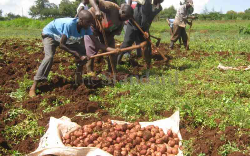 Kenya’s agricultural sector is underfunded, experts say