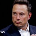 Neuralink: Can Musk's brain technology change the world?