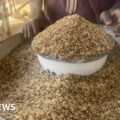 Nigeria cost of living: People turn to 'throw-away' rice for food