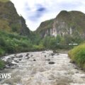 Papua New Guinea ambush: More than 50 dead in Highlands region