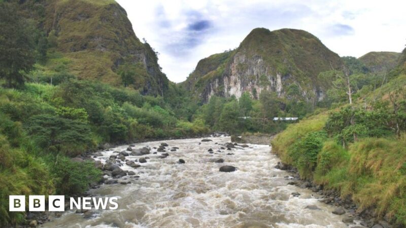 Papua New Guinea ambush: More than 50 dead in Highlands region