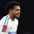 Plymouth 1-4 Leeds: Crysencio Summerville and Georginio Rutter send Leeds into FA Cup fifth round