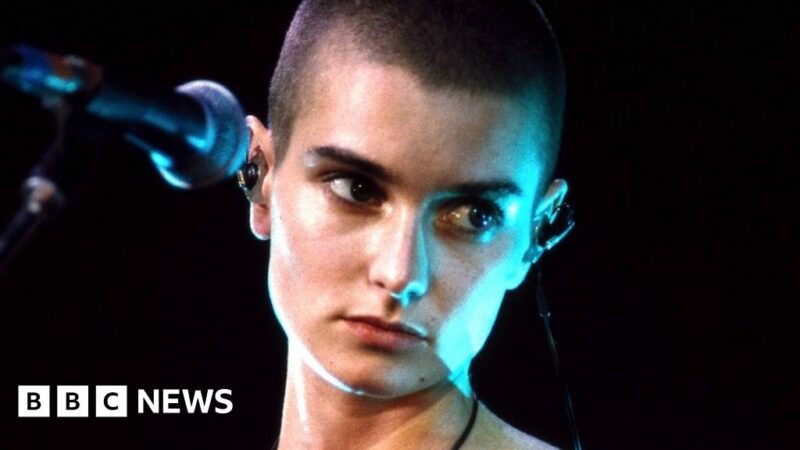 Quiz of the week: Who could join Sinéad O'Connor in the Rock & Roll Hall of Fame?
