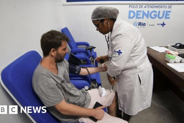 Rio de Janeiro: Dengue spike prompts health emergency ahead of Carnival