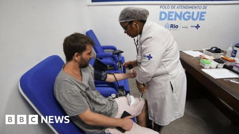 Rio de Janeiro: Dengue spike prompts health emergency ahead of Carnival