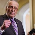 Senate advances aid package for Ukraine and Israel