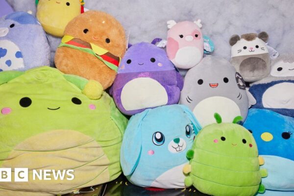 Squishmallow has launched a legal fight against Build-A-Bear