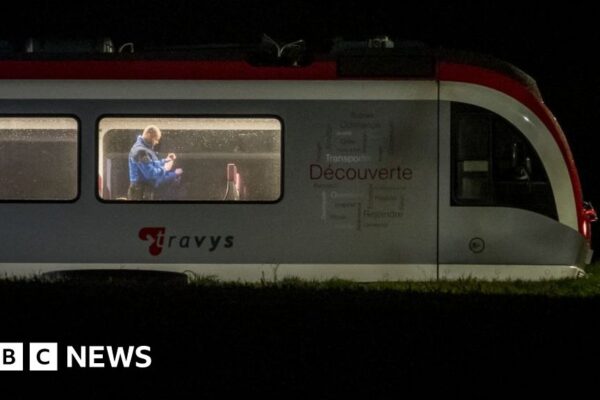 Switzerland: Police shoot dead axe-wielding hostage-taker on train
