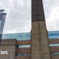 Tate Modern: Man dies after falling from London gallery