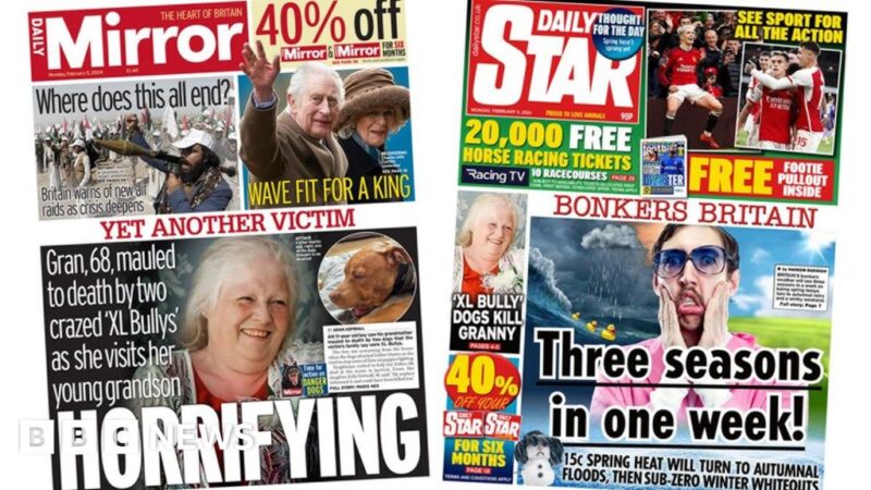 The Papers: 'Horrifying' dog attack and 'bonkers' week of weather