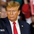 Trump takes immunity challenge to US Supreme Court
