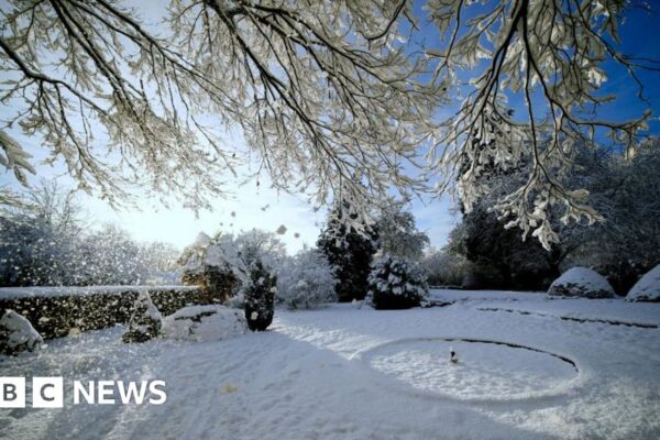 UK weather: Snow warning for some as mild conditions to end