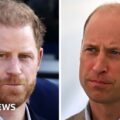 What does the King's diagnosis mean for William, Harry and the other royals?