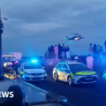 Woman dies after being attacked by dogs