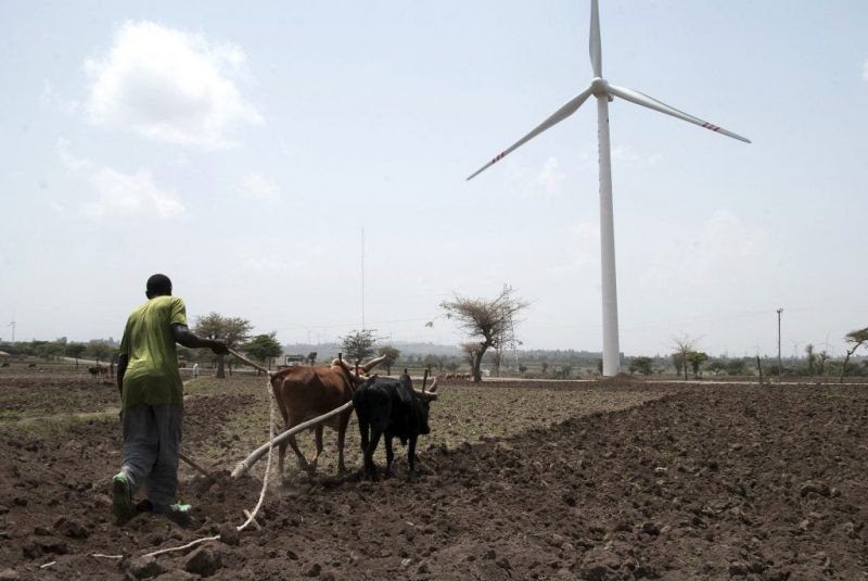 South African wind industry faces setback after failed auction